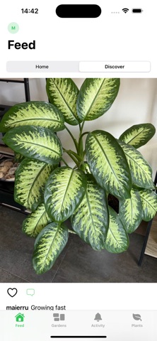 Houseplant.app screenshot