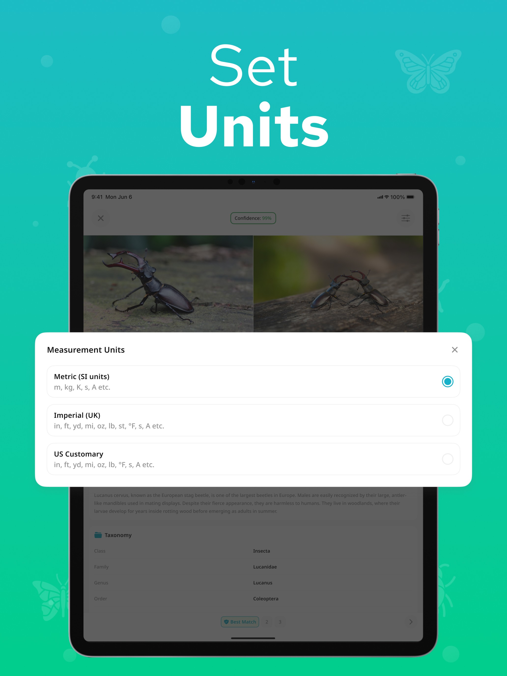 Bug Identifier - Insectium screenshot 14