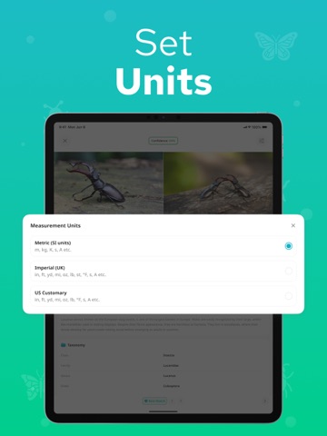 Bug Identifier - Insectium iPad screenshot