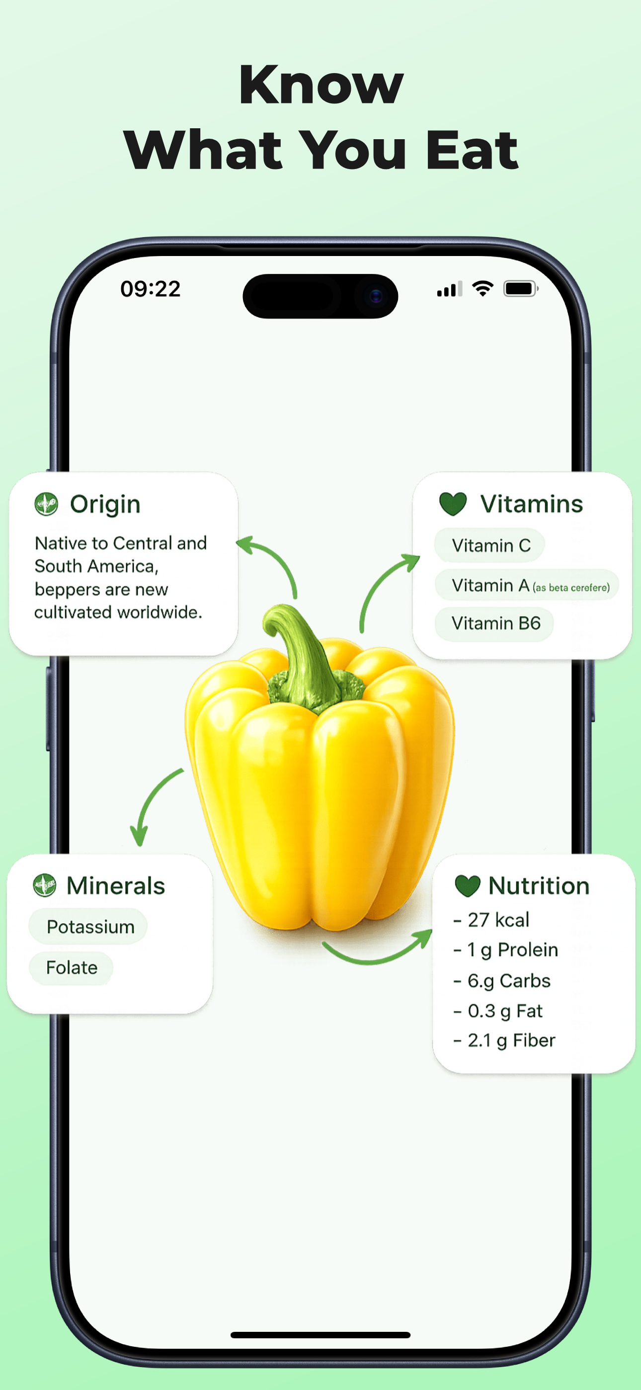 Vegetable Identifier: Scan AI