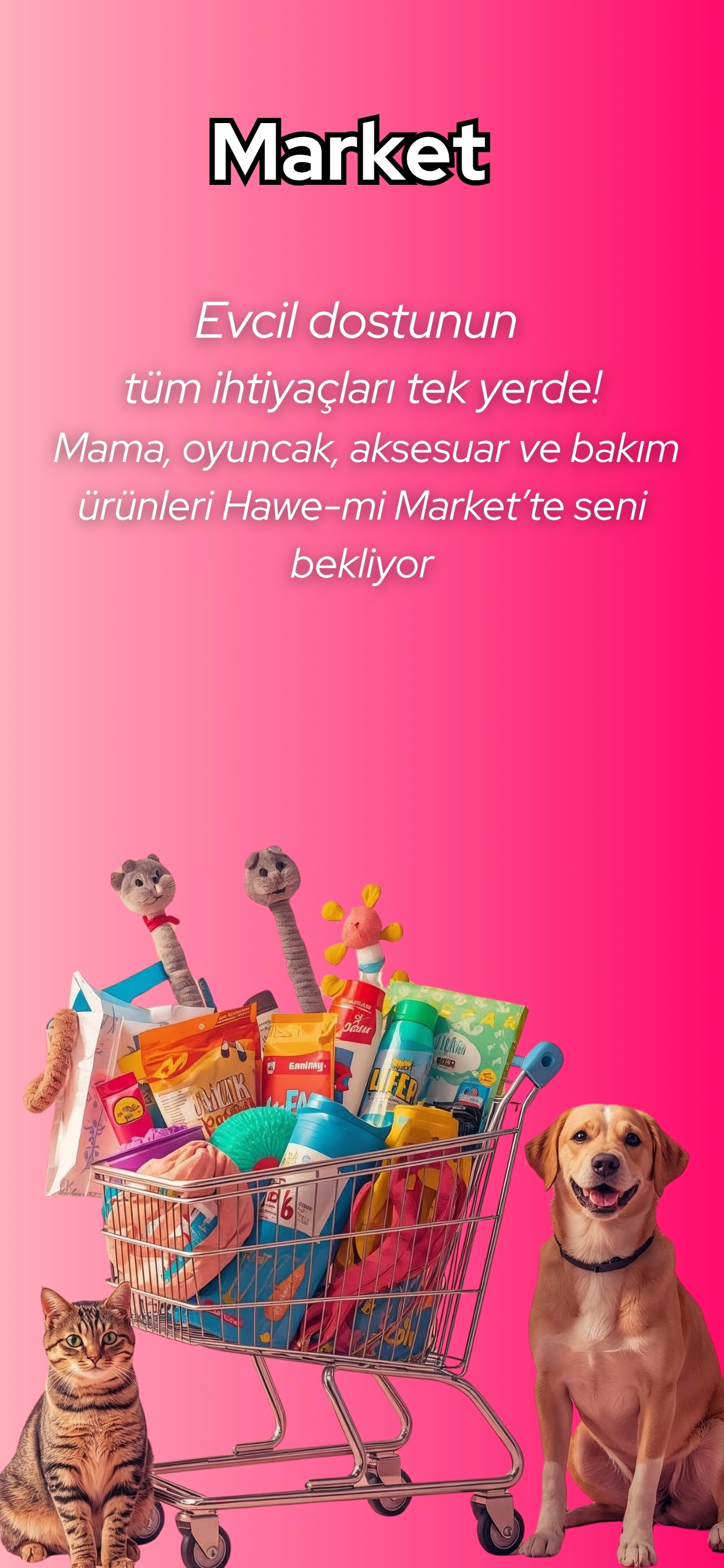 Hawe-mi, Evcil Hayvanlar