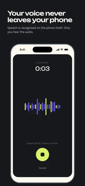 Voice journal: Vidlun screenshot 2