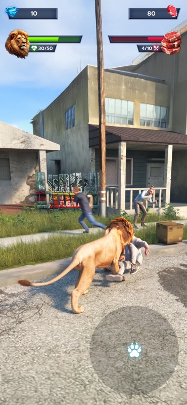 Lion Survival - Wild Beast Sim screenshot 5