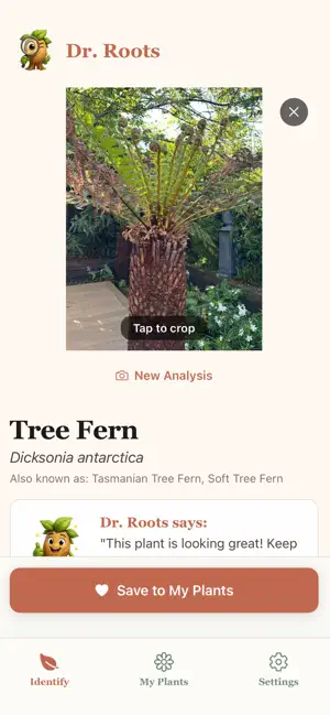 Dr Roots: Plant Identifier screenshot 4