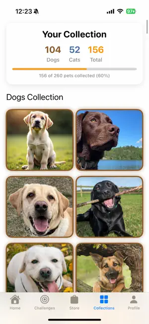 Paw Collector screenshot 1