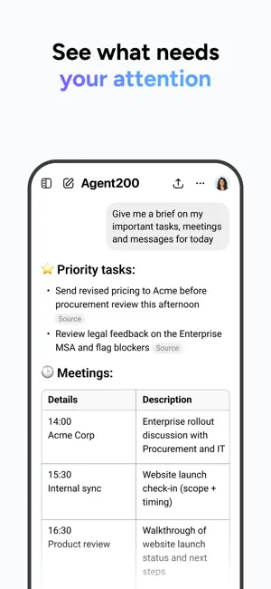 Agent200 AI Email Intelligence screenshot 4