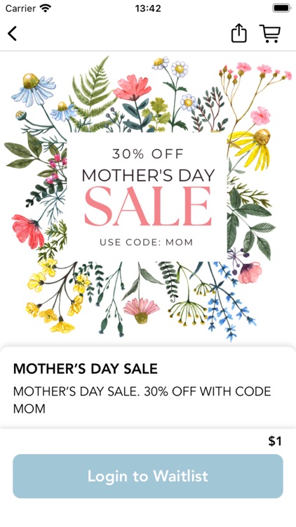 The Blue Hydrangea Boutique