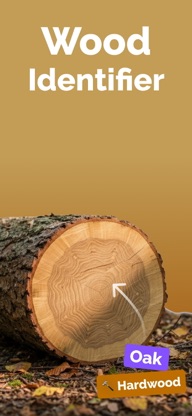Wood Identifier: LumberID screenshot 1