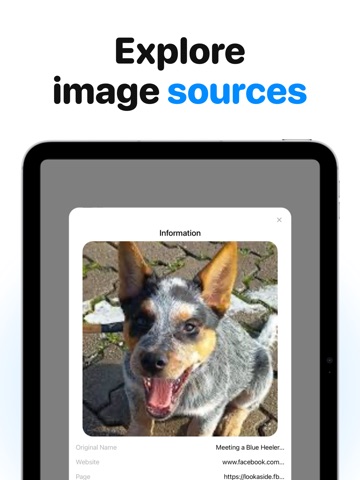 Reverse Image Search & Lens iPad screenshot