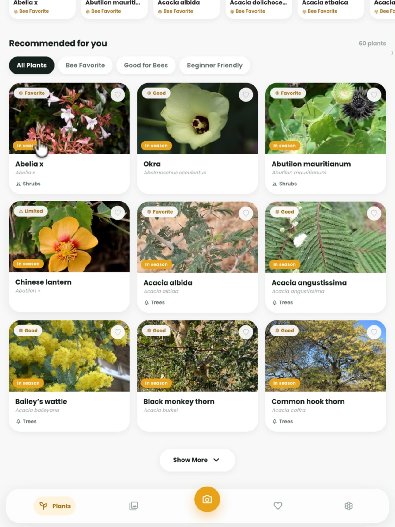 Screenshot 11 of BeeSanctuary