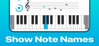 Piano Note Reading Trainer Screenshot 5 of 10