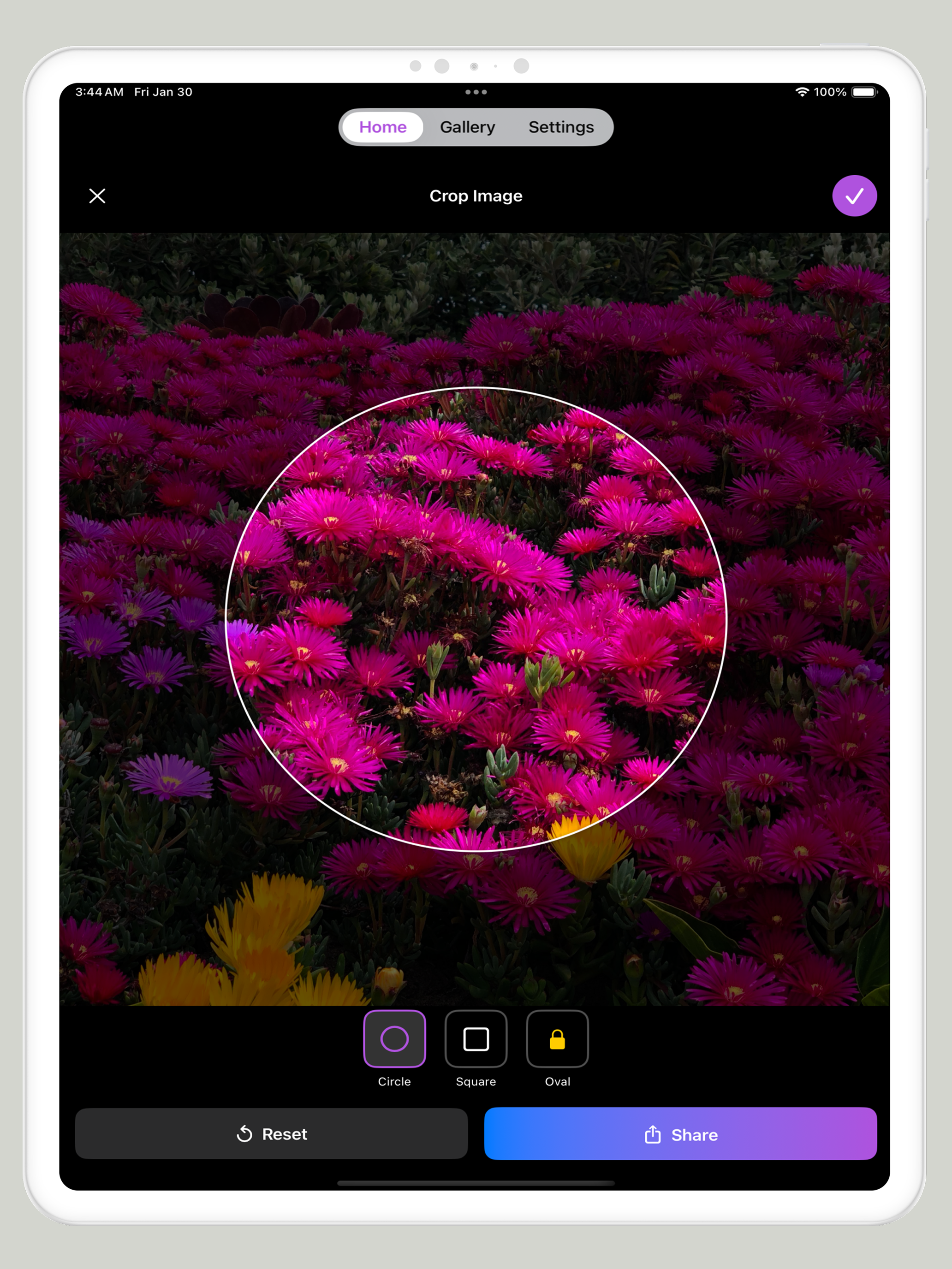 Circle Crop Image