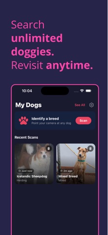 Dog Breed Identifier - Milo Screenshot 3 of 5