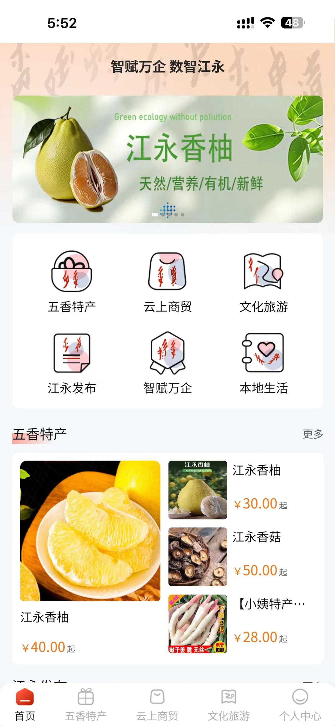 数智江永