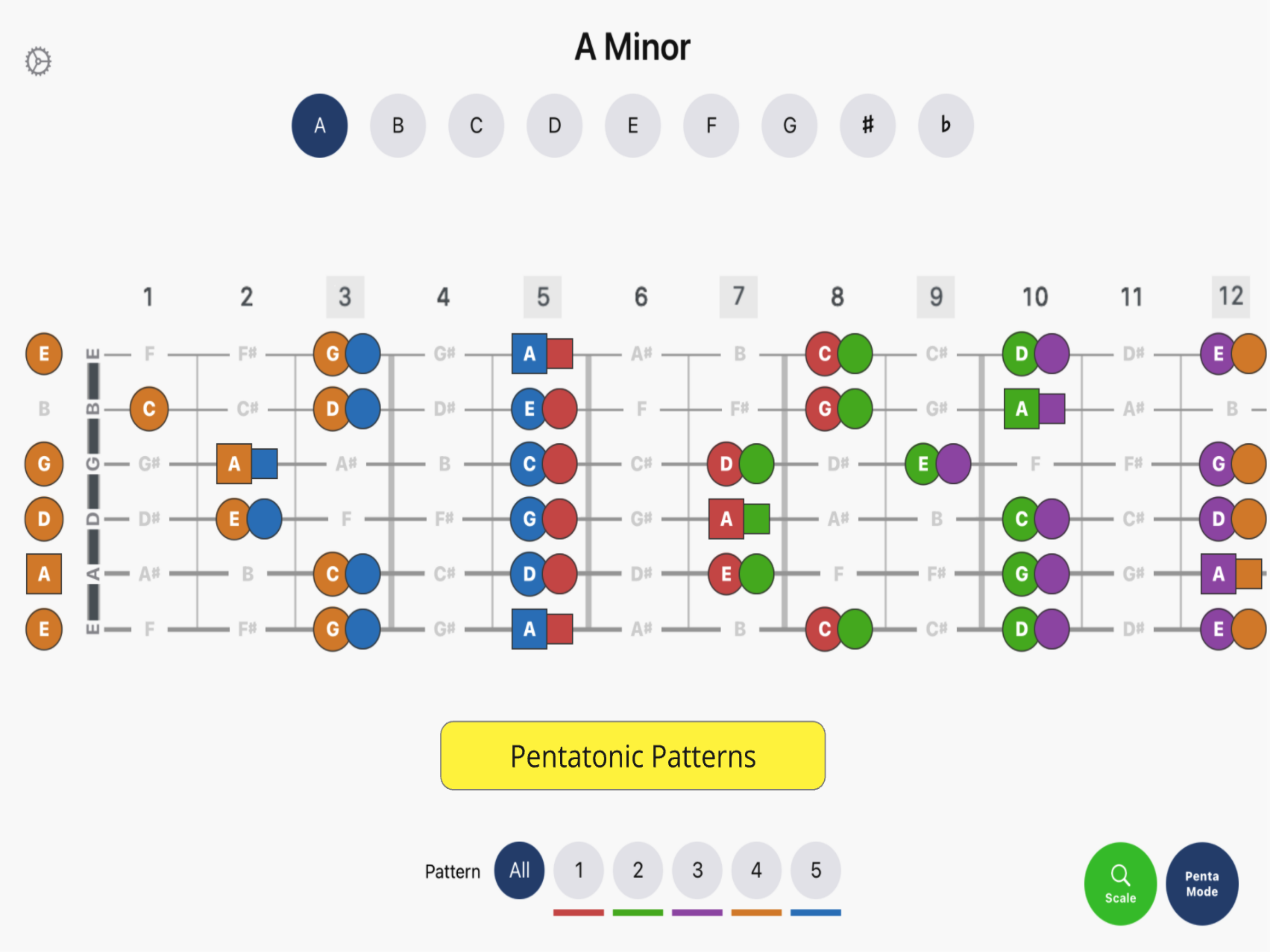Fret Mastery