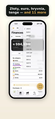 Skarbo: Budget Expense Tracker iPhone screenshot 8