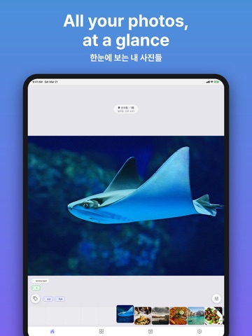 ZiZi - AI Photo Gallery iPad screenshot
