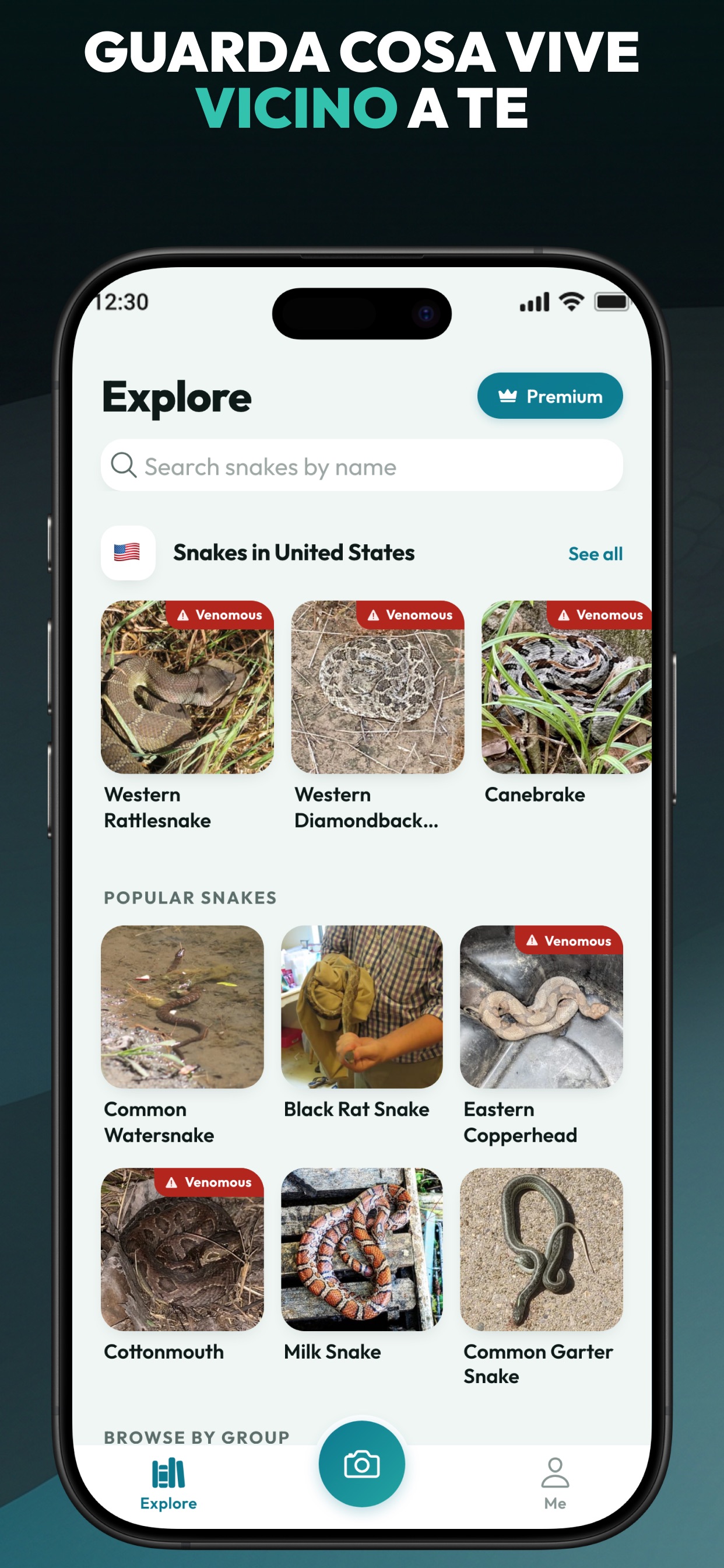 Screenshot 5 of Primo Snake: Snake Identifier