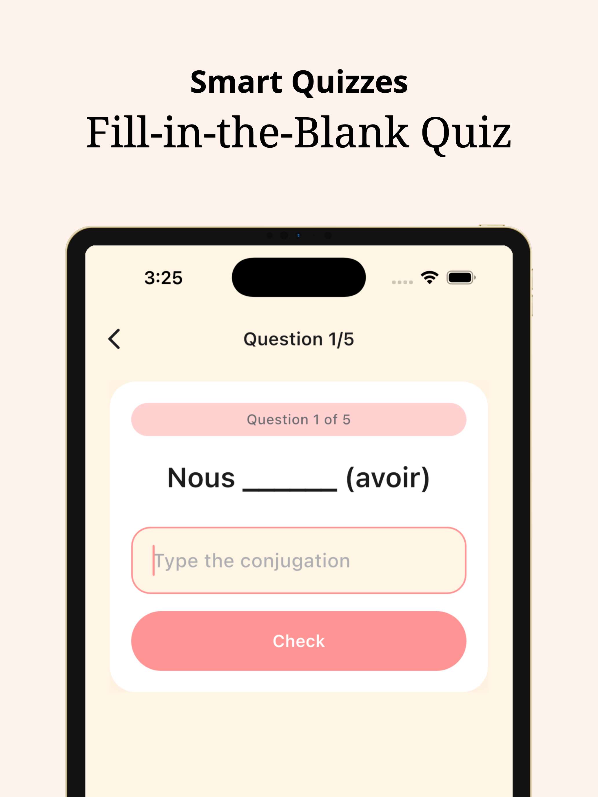 French Conjugation Practice