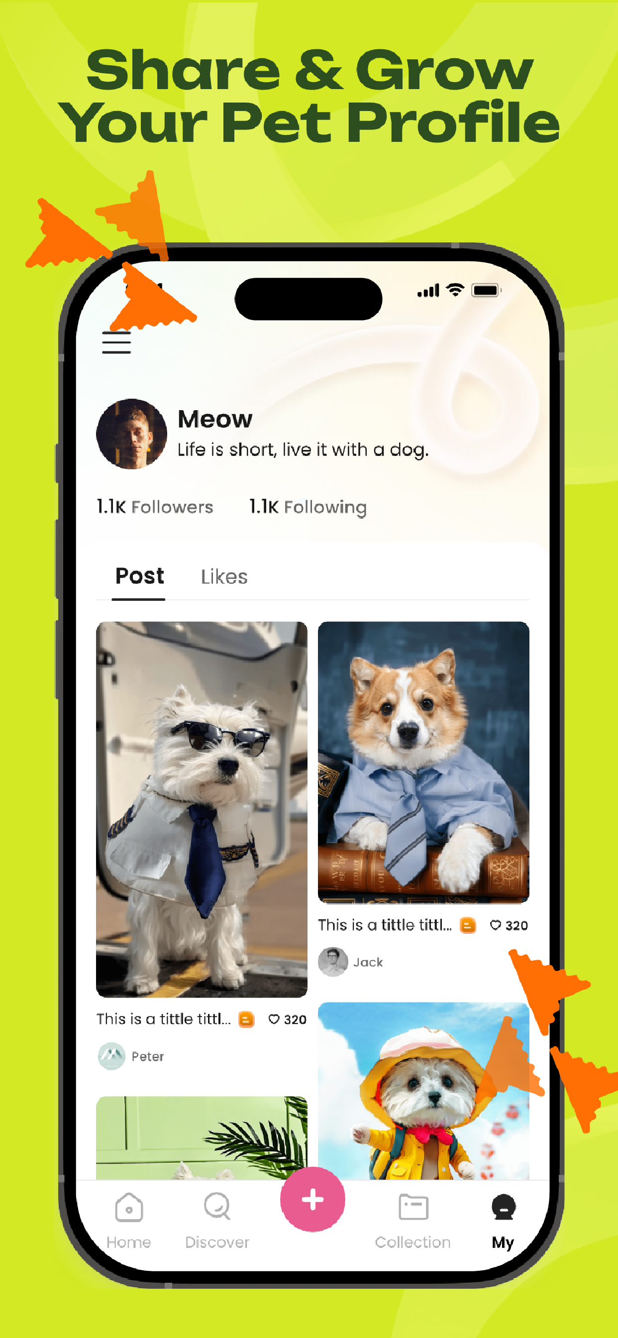 Petpic: AI Pet Video