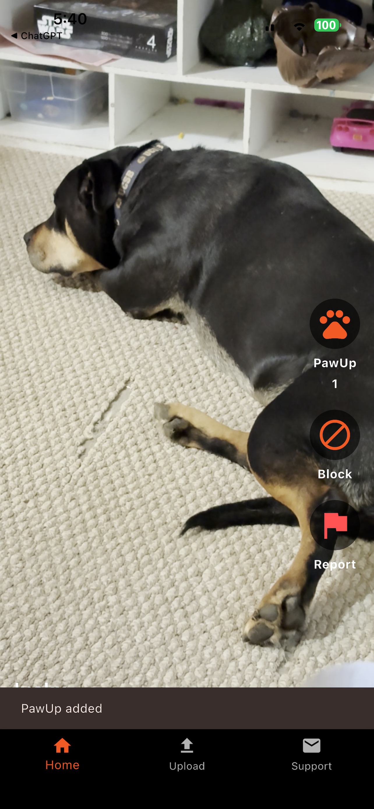 PawUpApp: Pet Videos screenshot 7