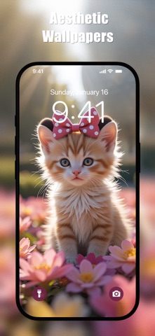 Cute Cat Wallpapers HD screenshot