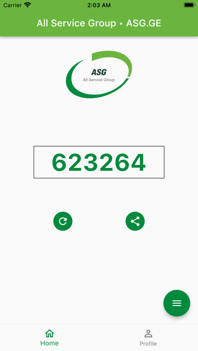 All Service Group ASG.GE screenshot 2