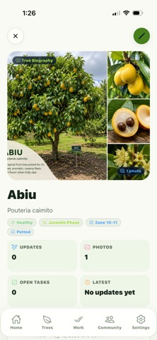 MyTreeSweets Grower Screenshot 6 of 6