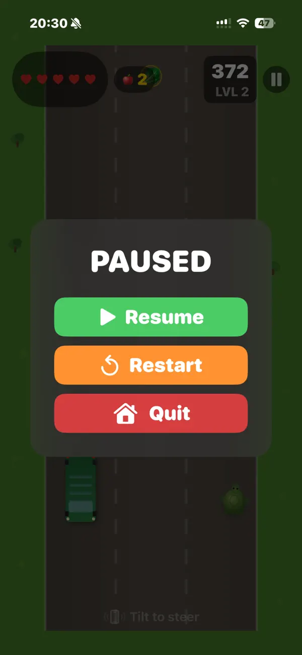 Turtledasher Screenshot 3