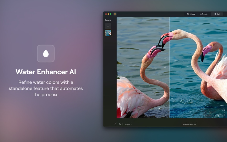 #9. Luminar Neo - AI Photo Editor (macOS) 由: Skylum