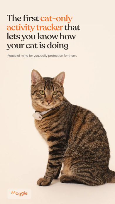 Moggie Cat Activity Tracker Screenshot