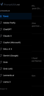 Prompt USA screenshot 4