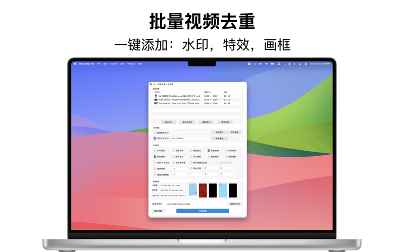 视频去重专业版 screenshot