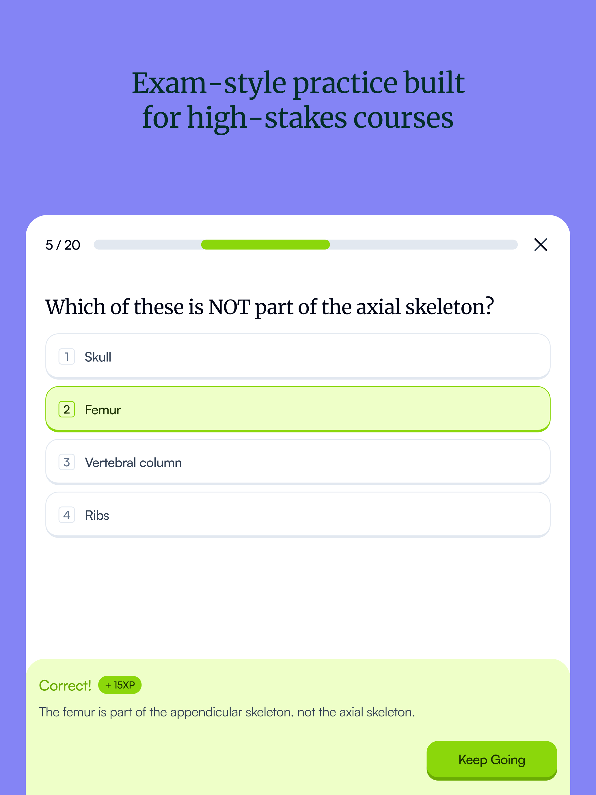 Quizgecko: AI Flashcards