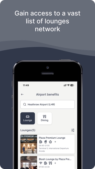 Investec InTransit Screenshot