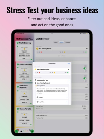 Monét - Startup Plan Builder iPad screenshot