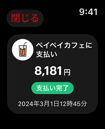 PayPay screenshot 11