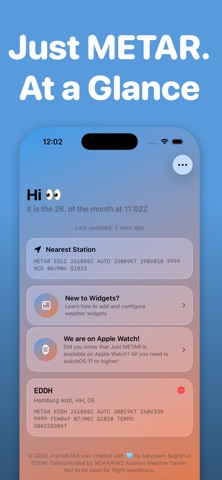 Just METAR screenshot