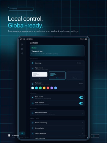 ScanBatch · QR Code Scanner iPad screenshot