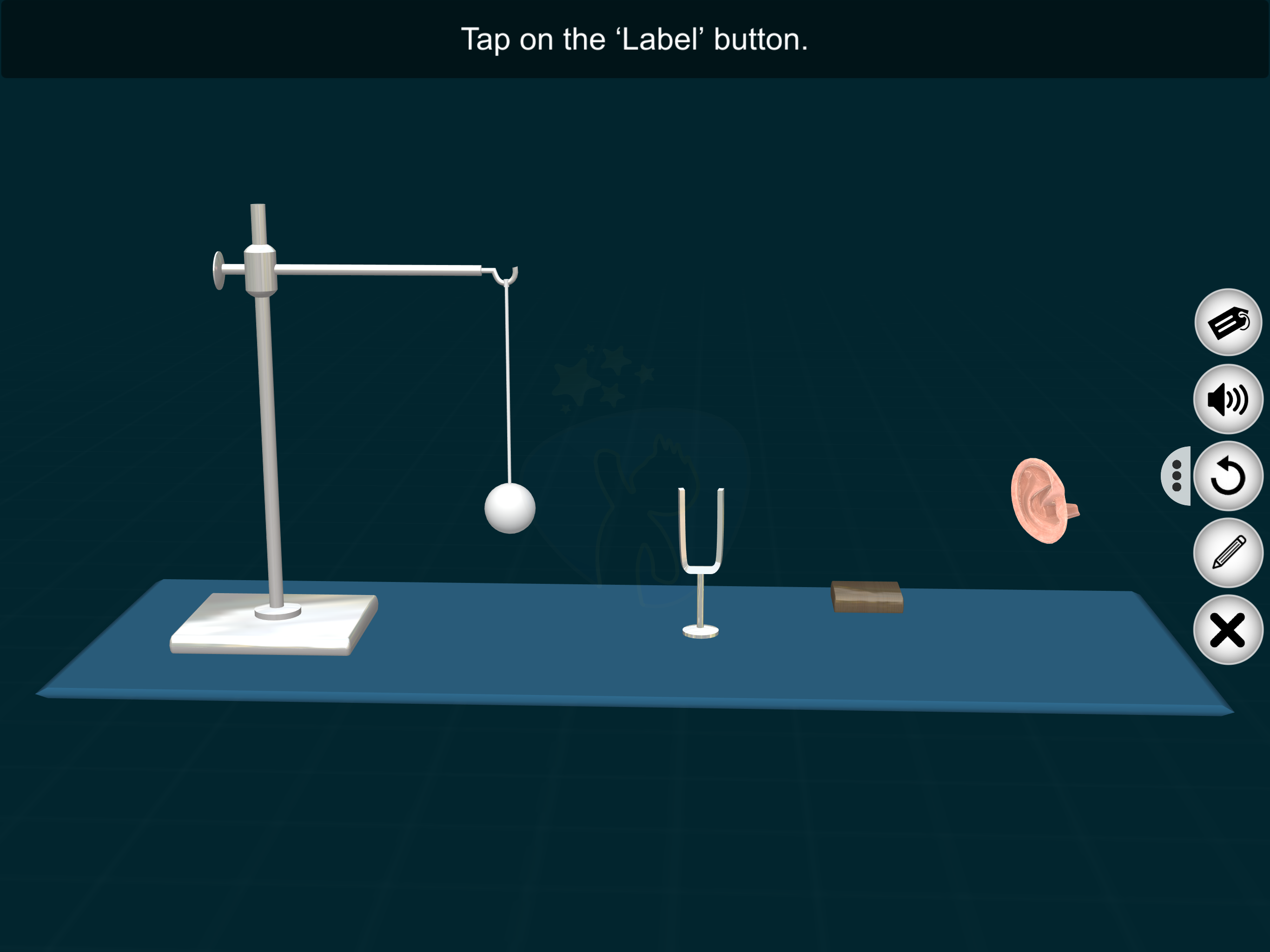 Tuning Fork Study- EduTech Era screenshot 5