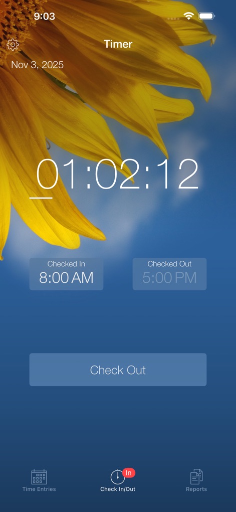 Week Timer - Business App | MWM