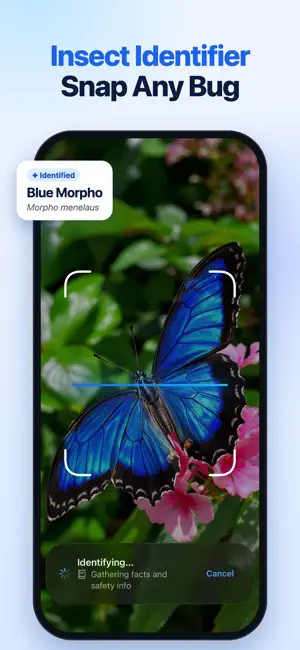 Insect Identifier: Scan Bugs screenshot 1