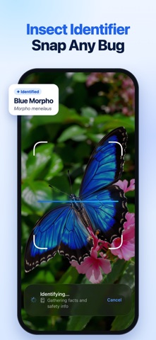 Insect Identifier: Scan Bugs iPhone screenshot