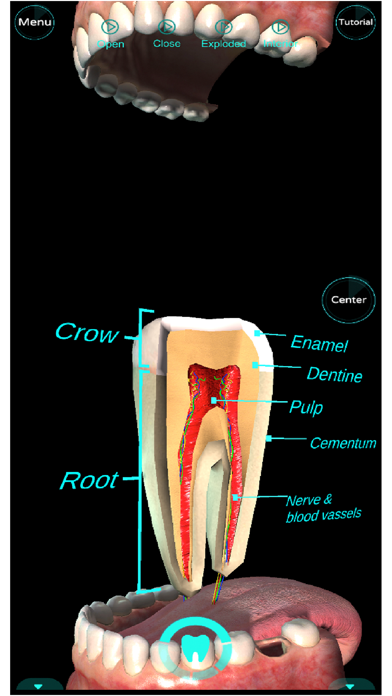 Dental Professional Screenshot