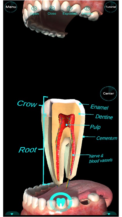 Dental Professional screenshot-5