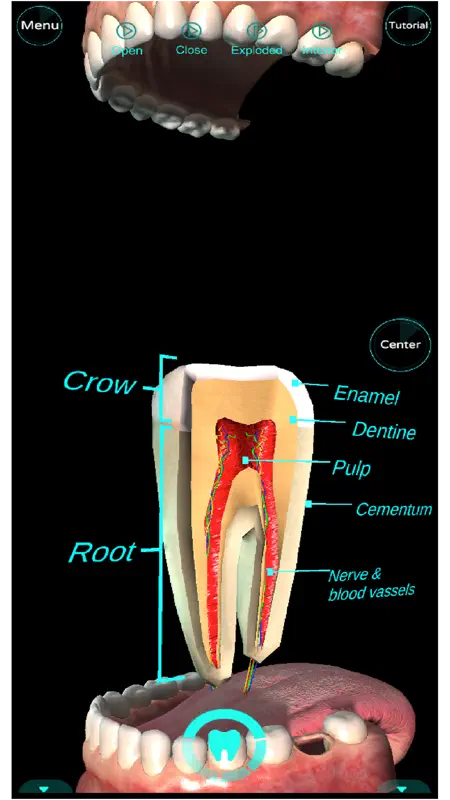 Dental Professional screenshot 6 of 10