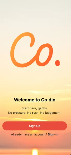 Co.din screenshot 2