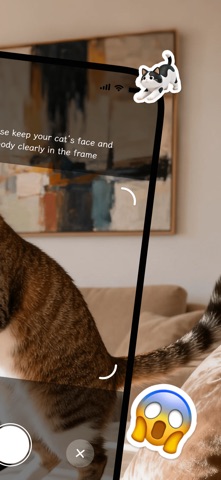 Meowcard AI: Cat Mood Diary screenshot