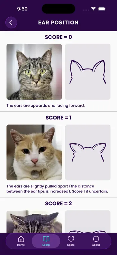 Feline Grimace Scale screenshot 2