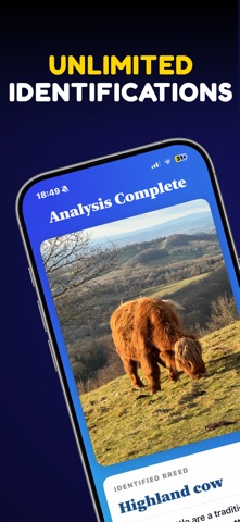 What Cow: AI Cattle Identifier Screenshot 2 of 4